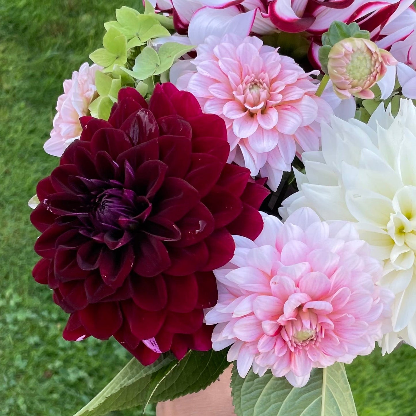 Mystery Dark Red Formal Decorative