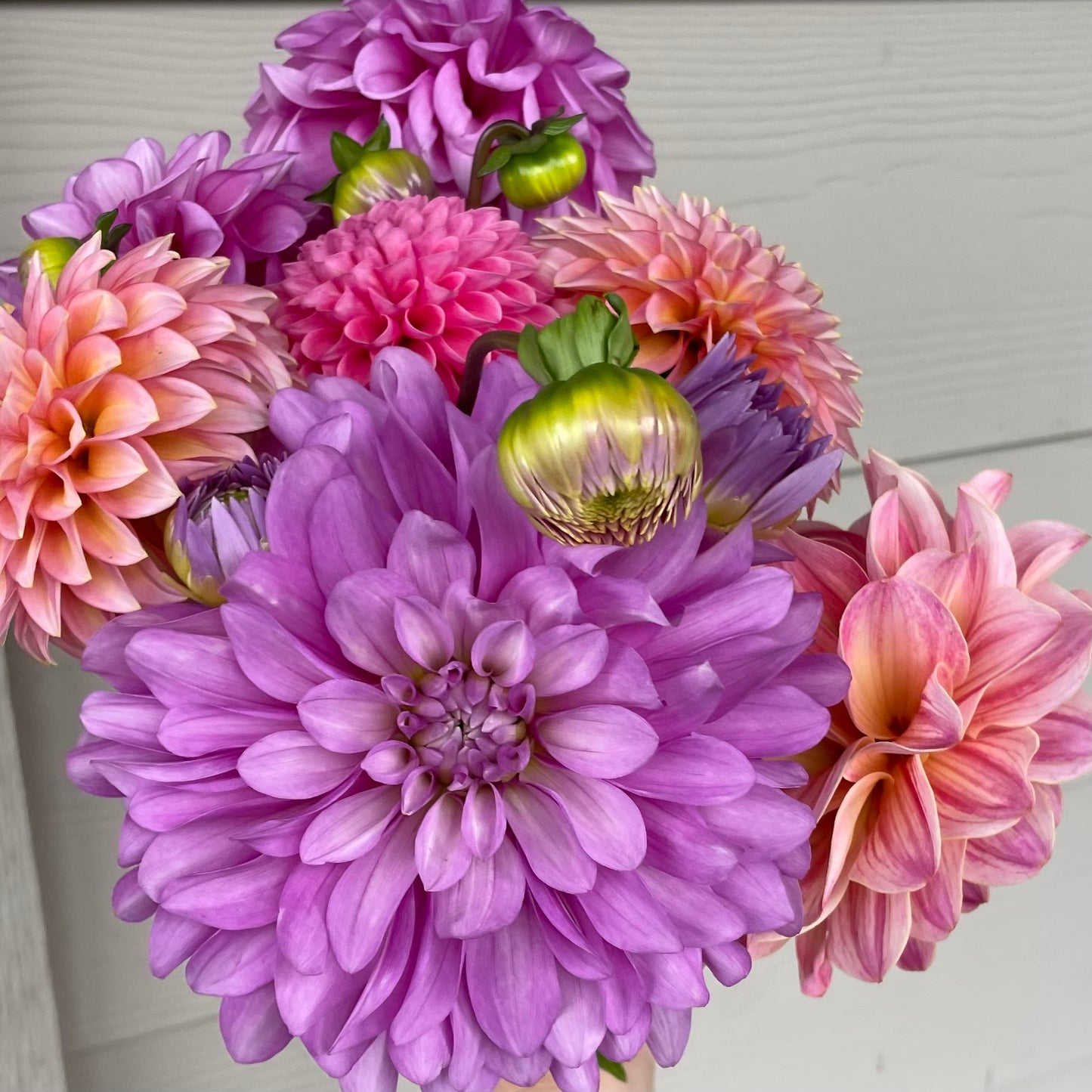 Bouquet of pink and purple flowers with green stems against a neutral background